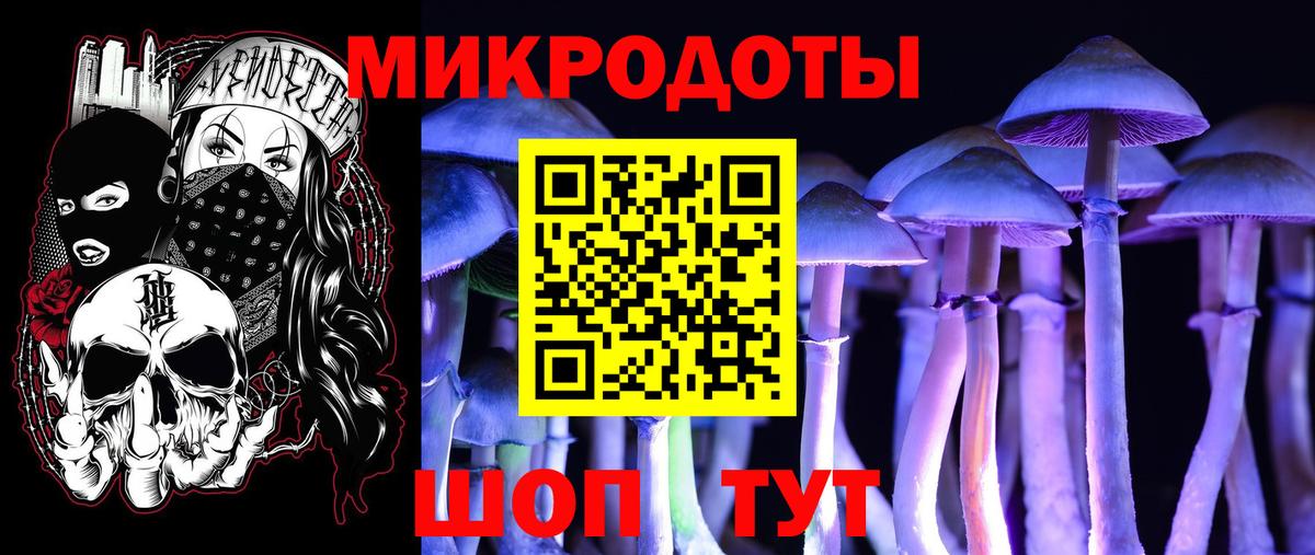 Галлюциногенные грибы мухоморы Владимир